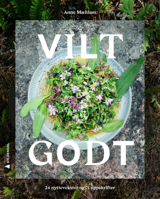Vilt godt av Anne Mæhlum