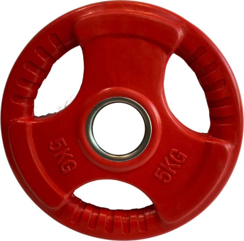 Vektskive med håndtak - 5 kg / 50mm