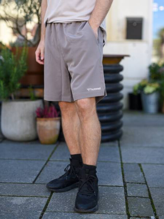 Dragon Shorts