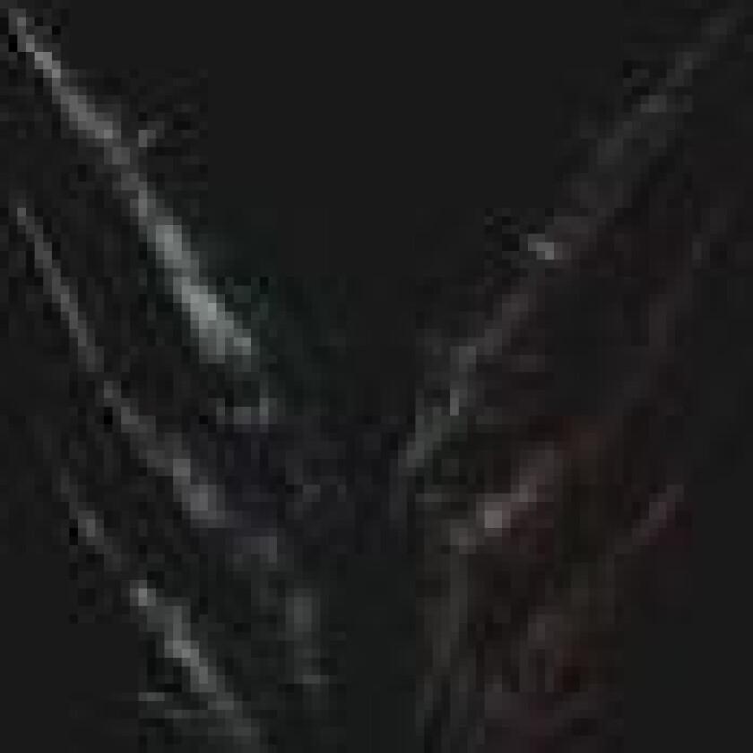 Orbit Culture - Descent