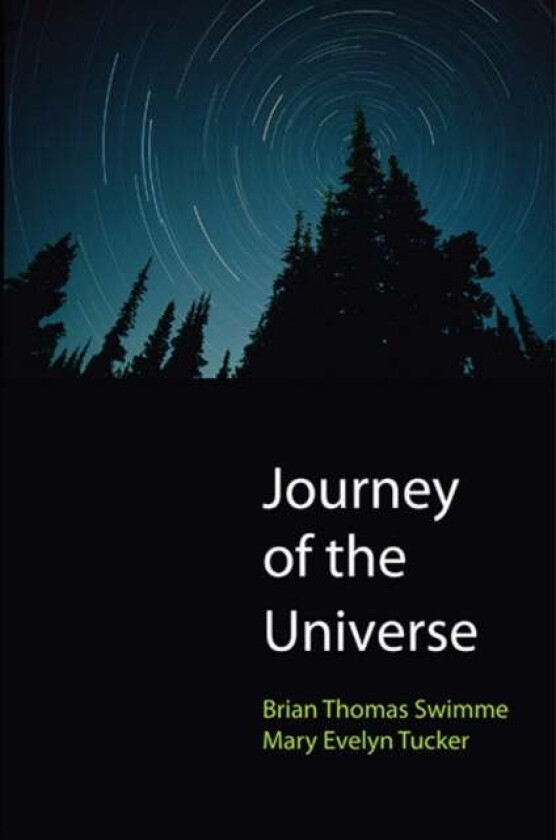 Journey of the Universe av Brian Thomas Swimme, Mary Evelyn Tucker