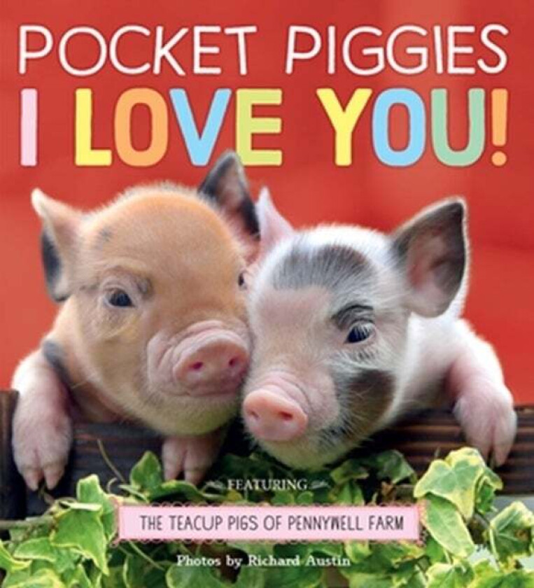 Pocket Piggies: I Love You! av Richard Austin