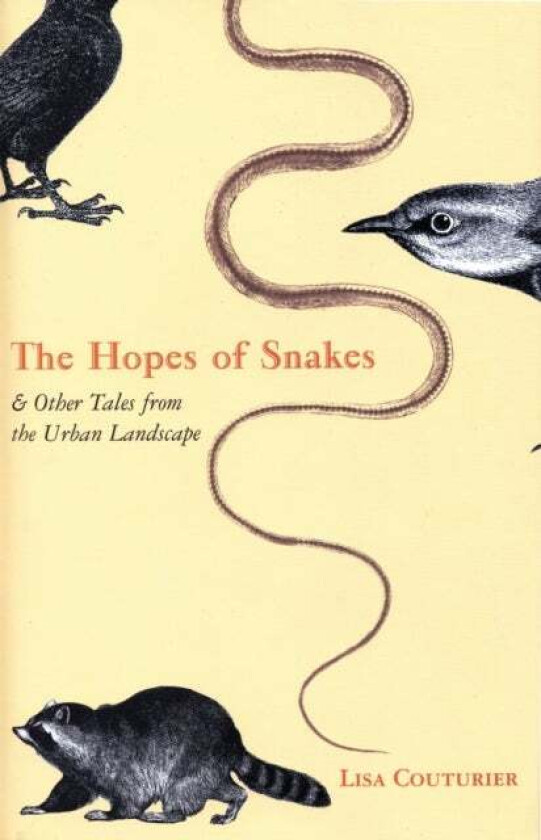 The Hopes of Snakes av Lisa Couturier