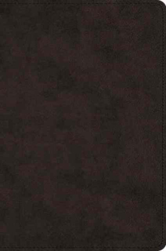 ESV Large Print Bible