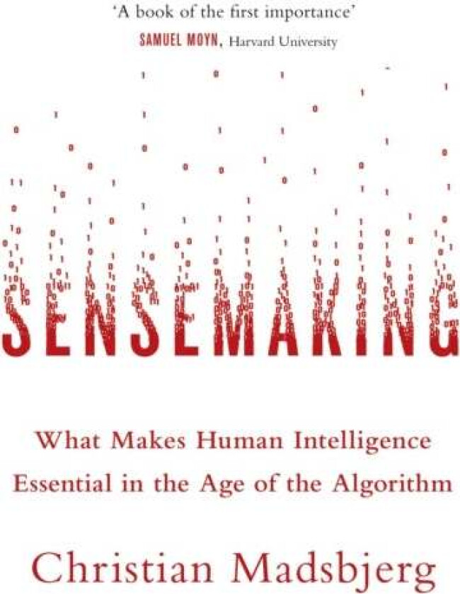 Sensemaking av Christian Madsbjerg