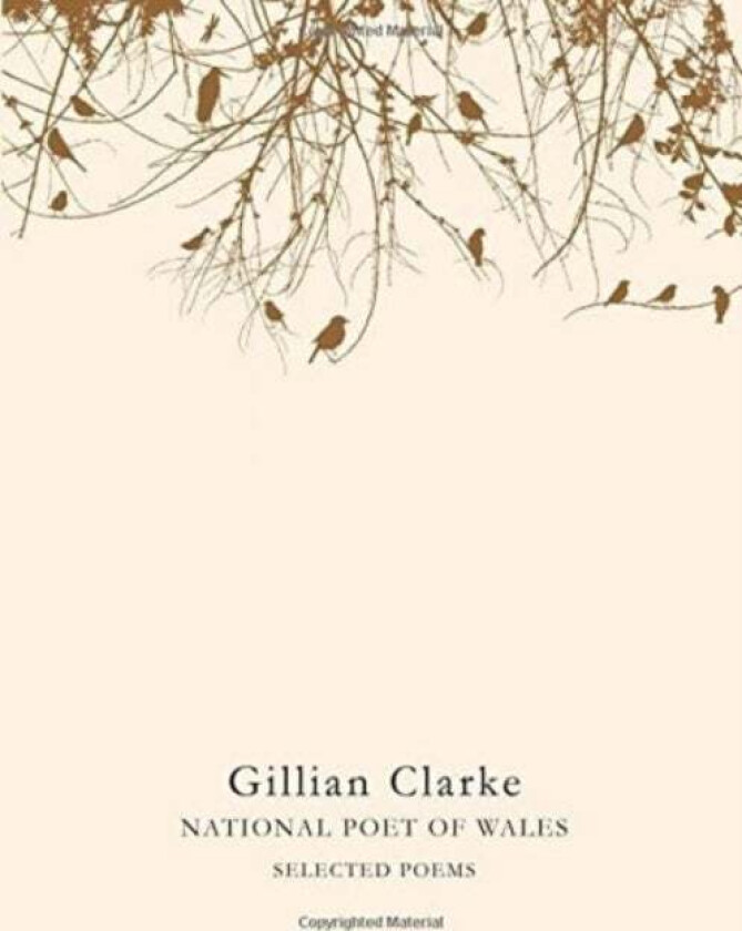 Selected Poems av Gillian Clarke