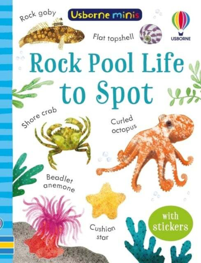 Rock Pool Life to Spot av Simon Tudhope