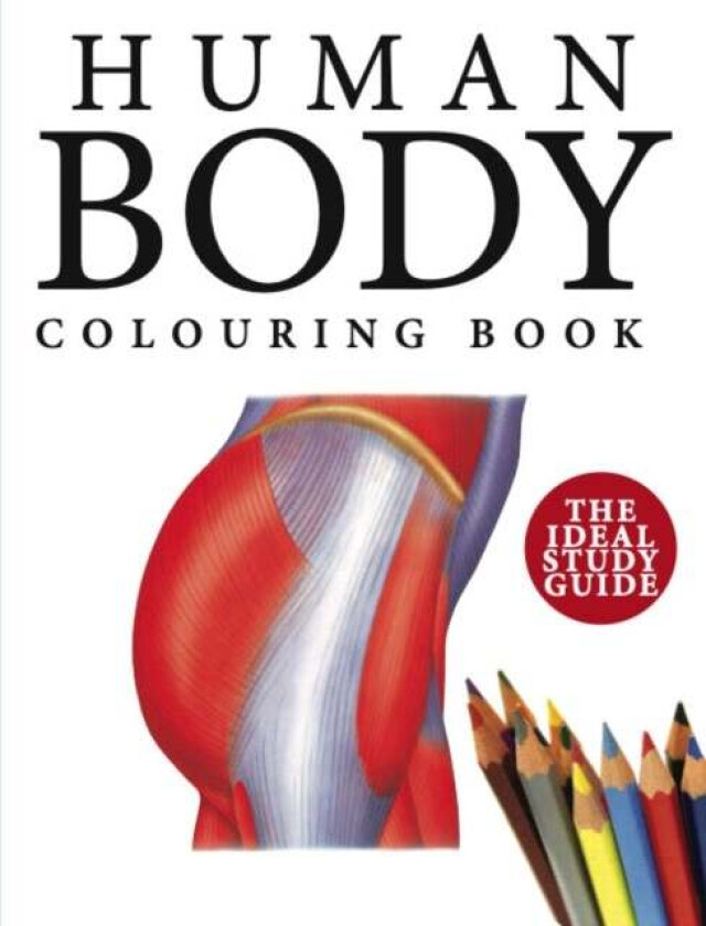 Human Body Colouring Book av Peter Abrahams