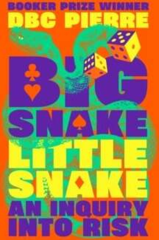 Big Snake Little Snake av DBC Pierre