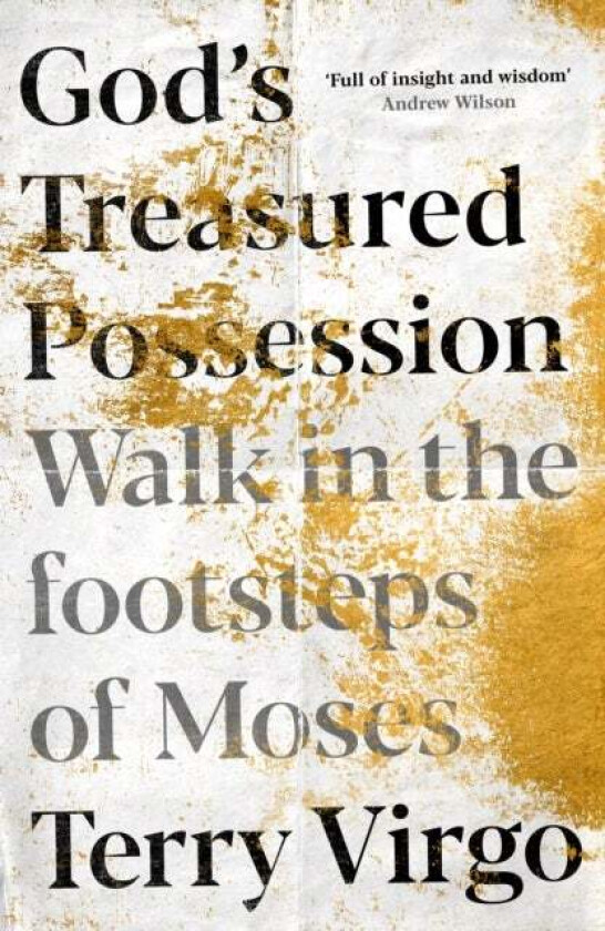 God's Treasured Possession av Terry (Author) Virgo