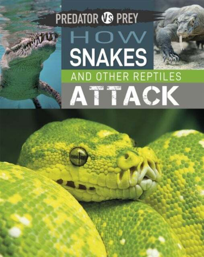 Predator vs Prey: How Snakes and other Reptiles Attack av Tim Harris
