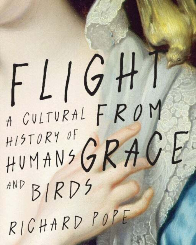 Flight from Grace av Richard Pope