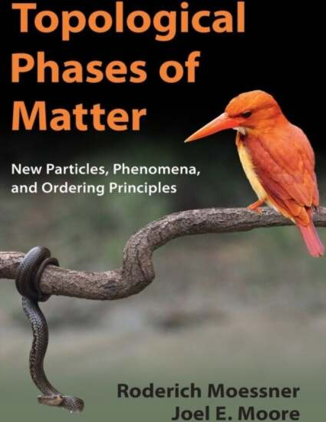 Topological Phases of Matter av Roderich (Max-Planck-Institut fur Physik komplexer Systeme Dresden) Moessner, Joel E. (University of California Berkel