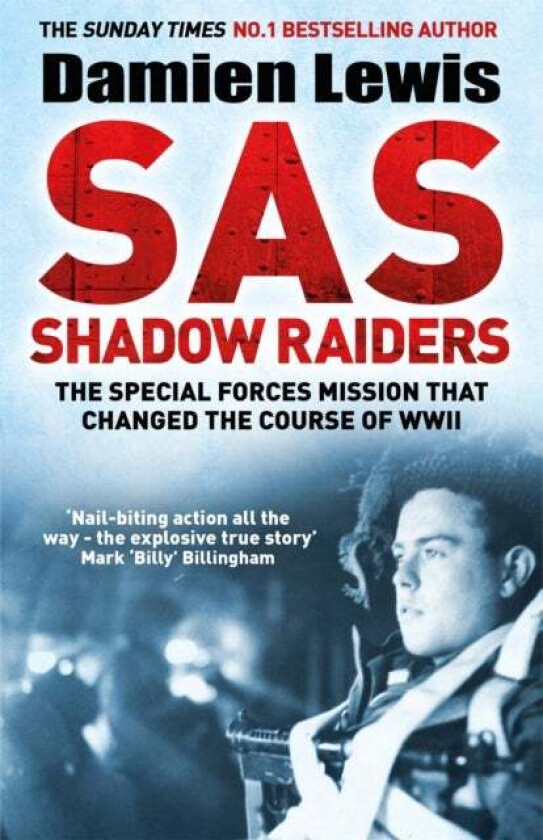 SAS Shadow Raiders av Damien Lewis