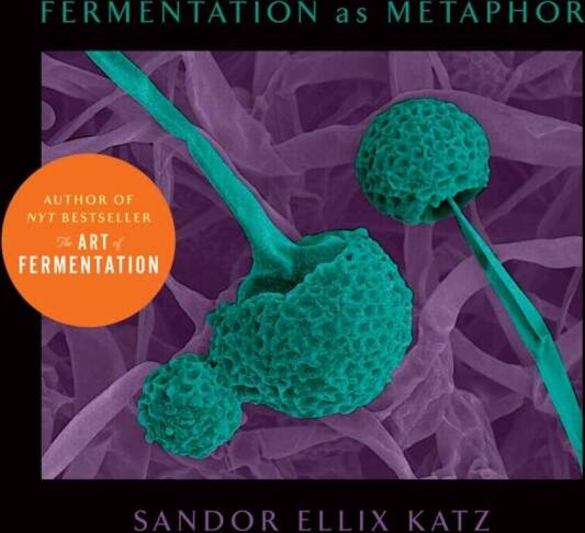 Fermentation as Metaphor av Sandor Ellix Katz