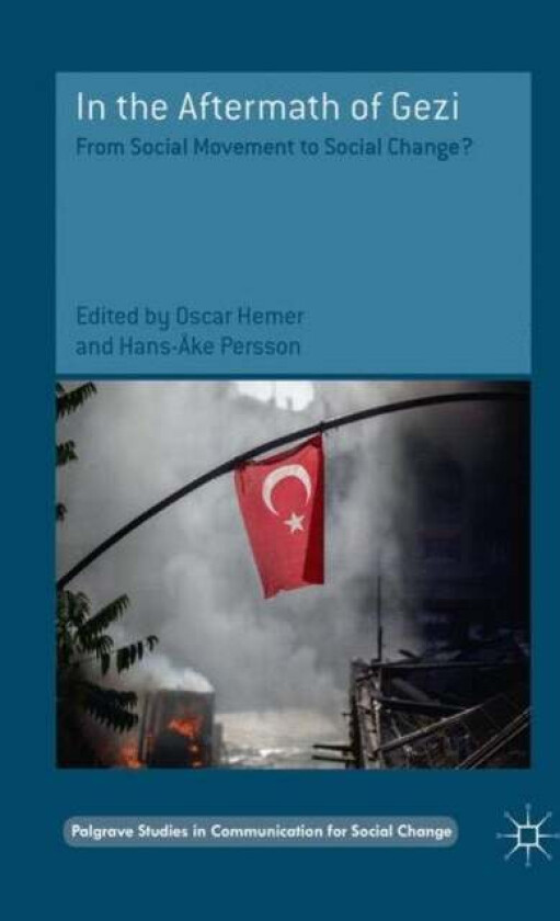 In the Aftermath of Gezi