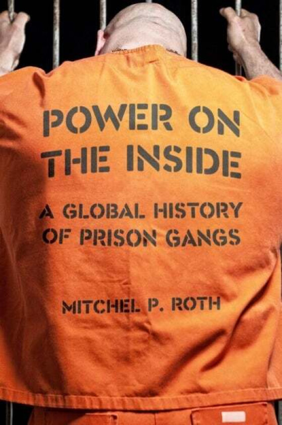 Power on the Inside av Mitchel P. Roth