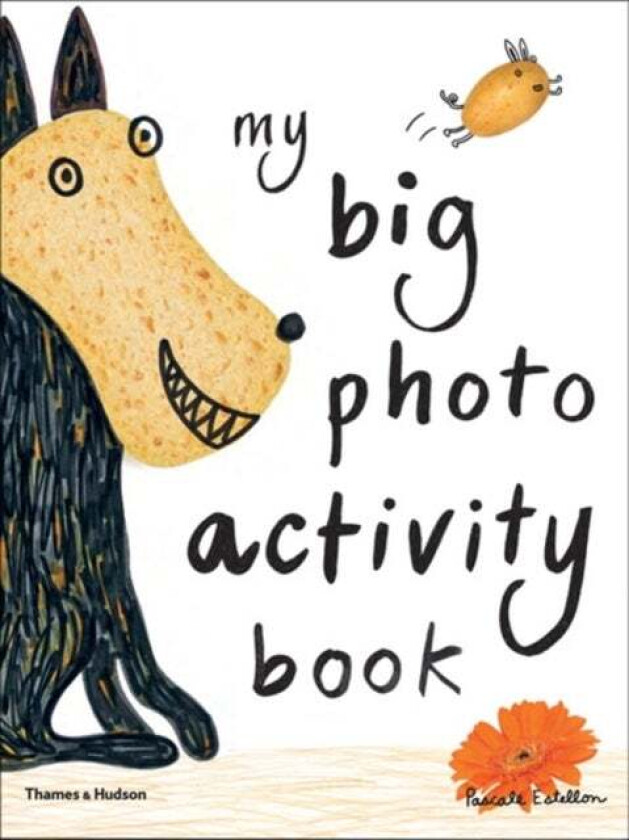 My Big Photo Activity Book av Pascale Estellon