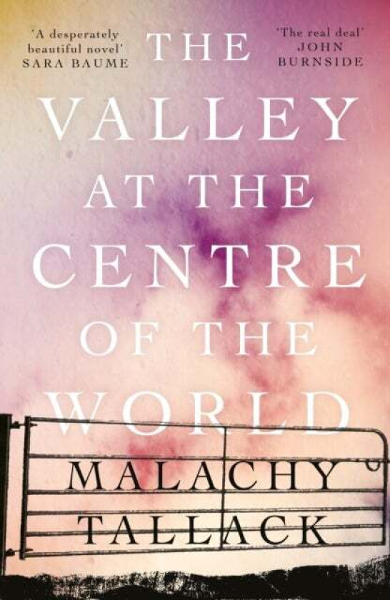 The Valley at the Centre of the World av Malachy Tallack