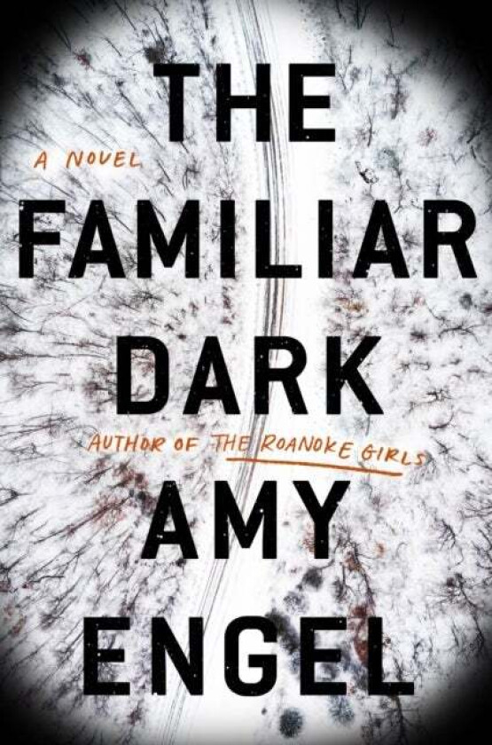 The Familiar Dark av Amy Engel