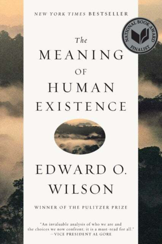 The Meaning of Human Existence av Edward O. Wilson