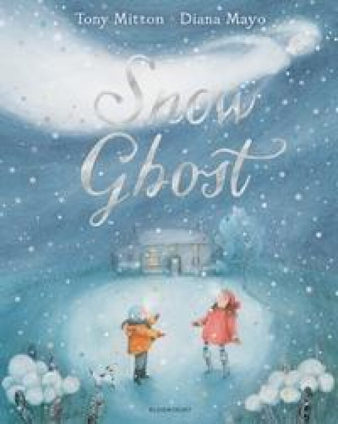 Snow Ghost av Tony Mitton