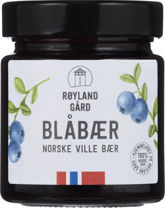 Blåbærsyltetøy 220g