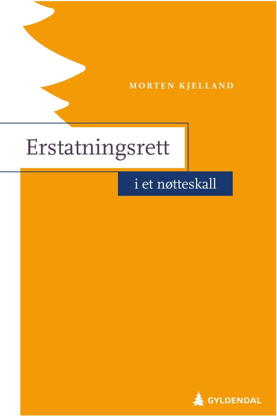 Erstatningsrett i et nøtteskall