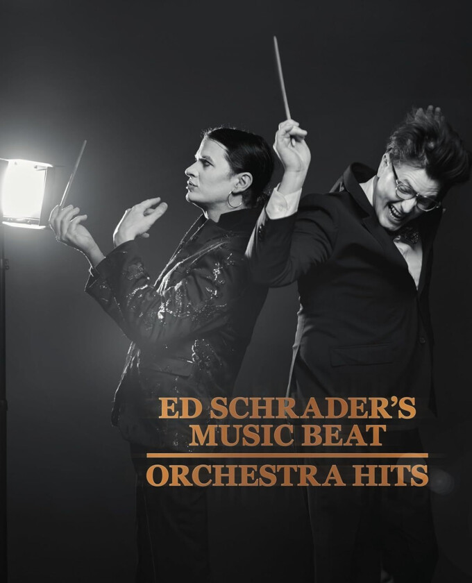 Ed Schrader’s Music Beat  Orchestra Hits  LP/Vinyl