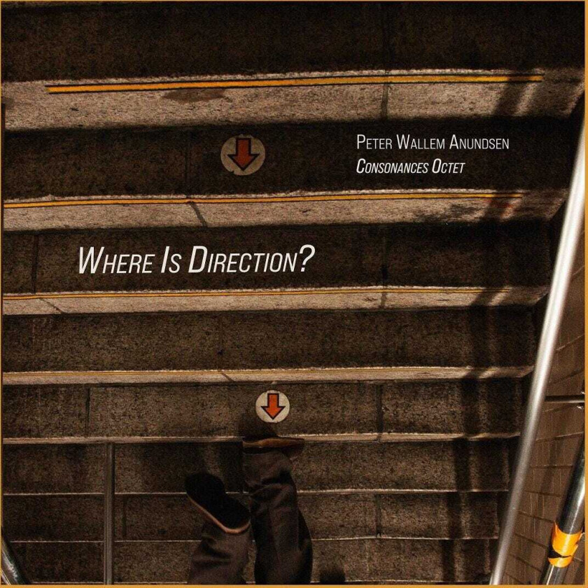 Peter Wallem Anundsen Where Is Direction? LP/Vinyl