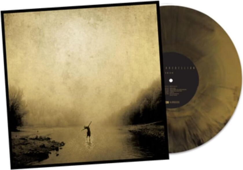 The Boxer Rebellion Union LP/Vinyl