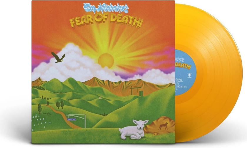 Tim Heidecker Fear Of Death LP/Vinyl