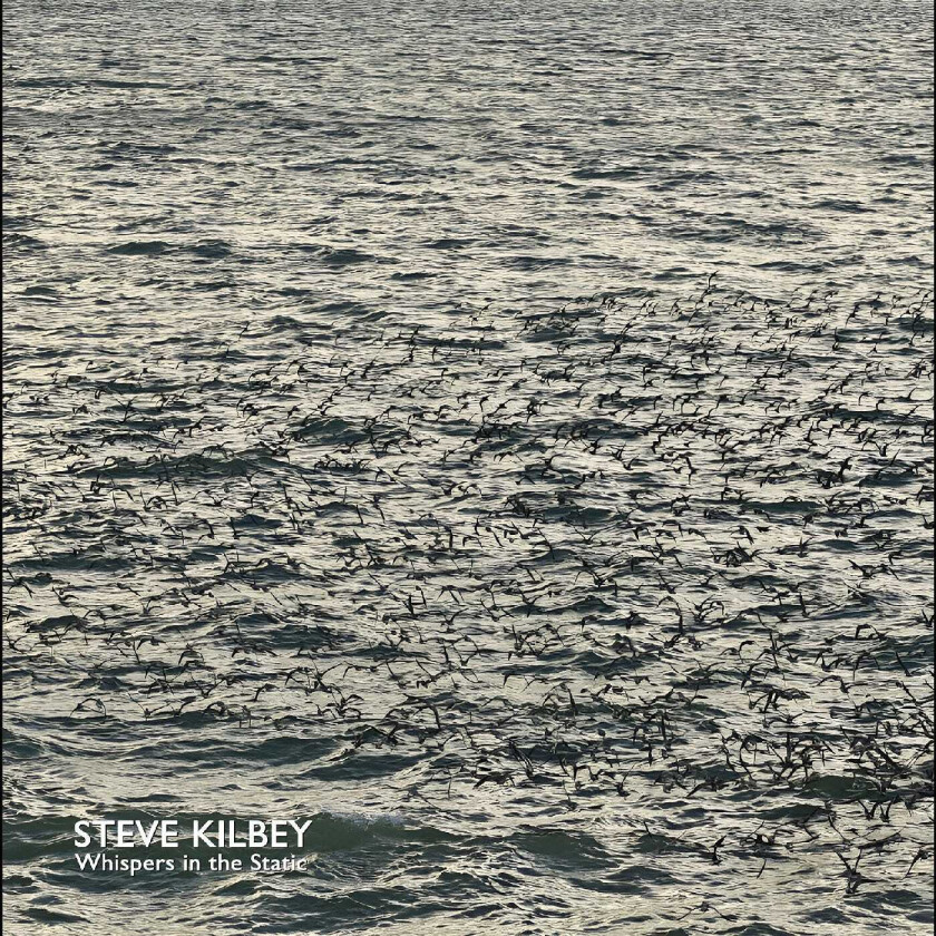 Steve Kilbey Whispers In The Static LP/Vinyl