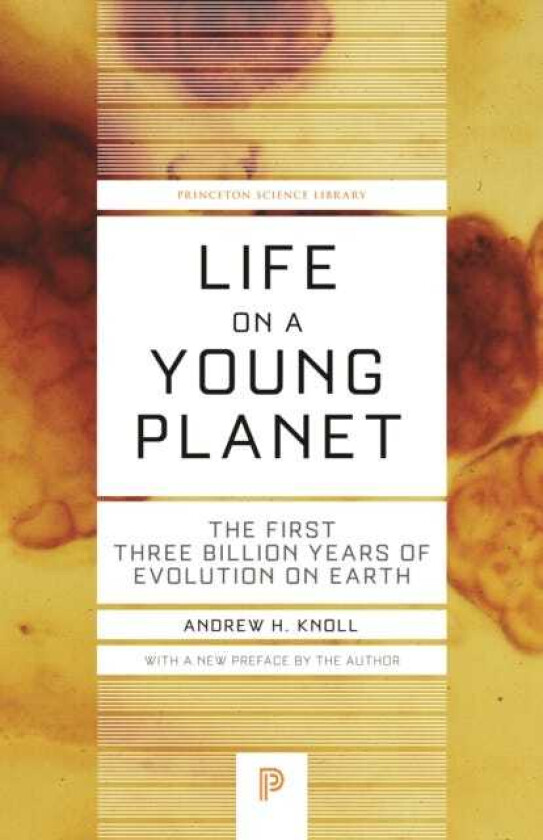 Life on a Young Planet The First Three Billion Years of Evolution on Earth Updated Edition