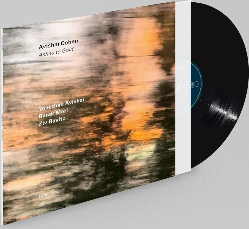 Avishai Cohen Ashes to Gold LP/Vinyl