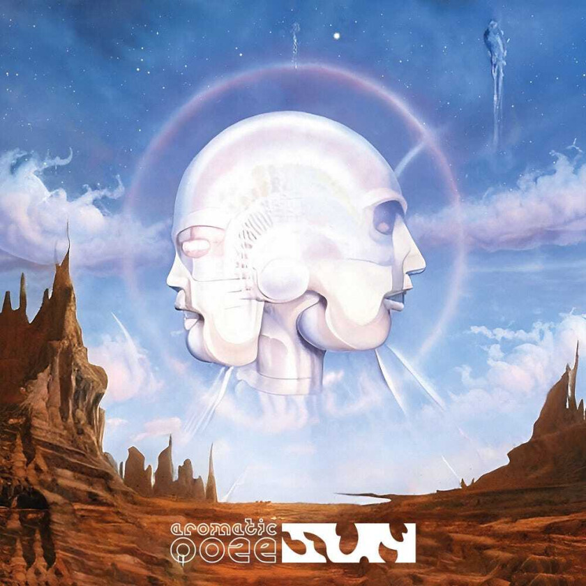Aromatic Ooze Sun LP/Vinyl
