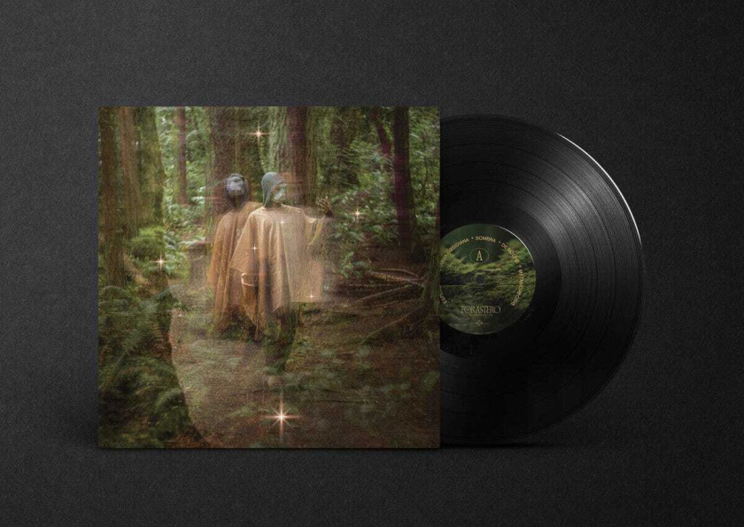 Terror/Cactus Forastero LP/Vinyl