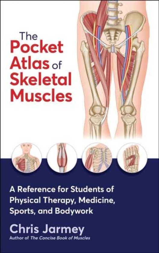 The Pocket Atlas of Skeletal Muscles  A Reference for Students of Physical Therapy, Medicine, Sports, and Bodywork