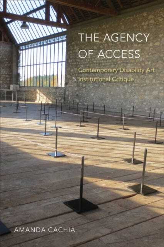 The Agency of Access Contemporary Disability Art & Institutional Critique