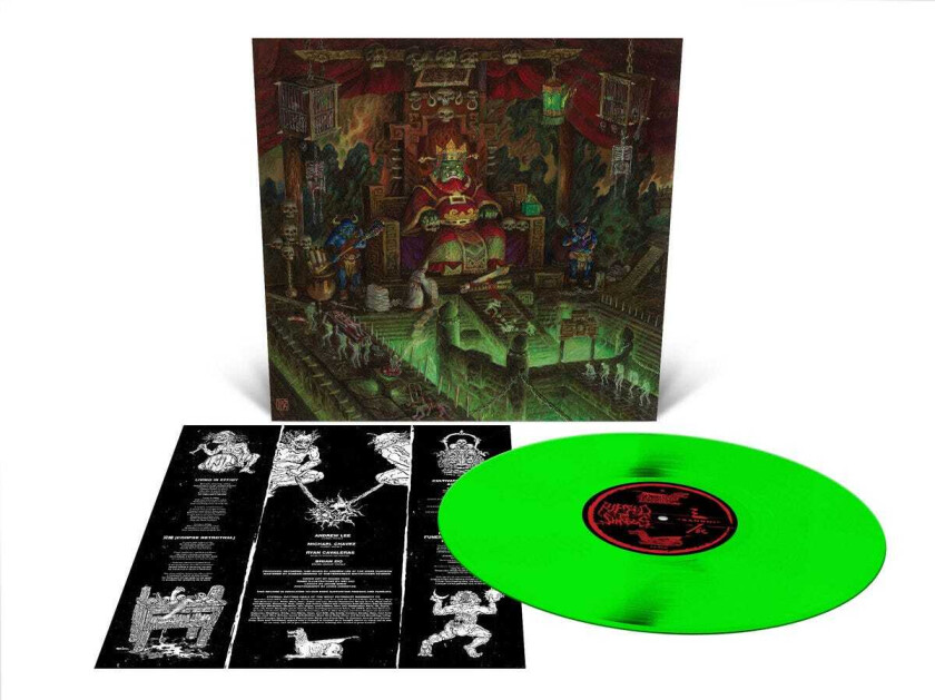 Ripped To Shreds Sanshi LP/Vinyl