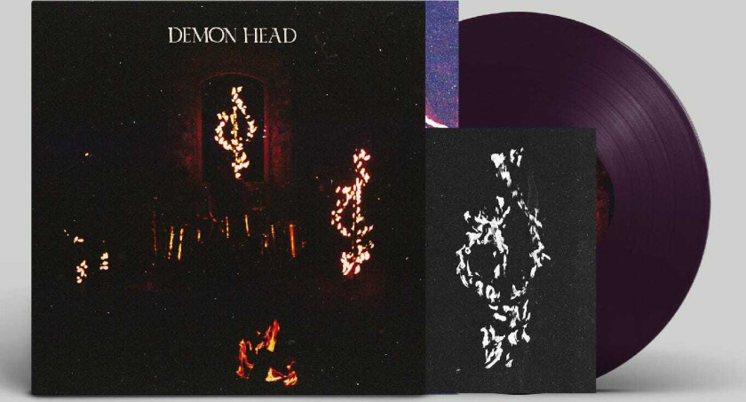 Demon Head Through Holes Shine the Stars LP/Vinyl
