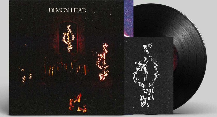 Demon Head Through Holes Shine the Stars LP/Vinyl