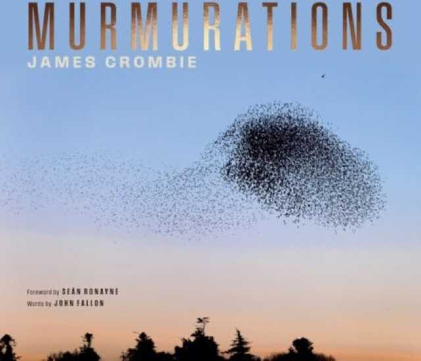 Murmurations