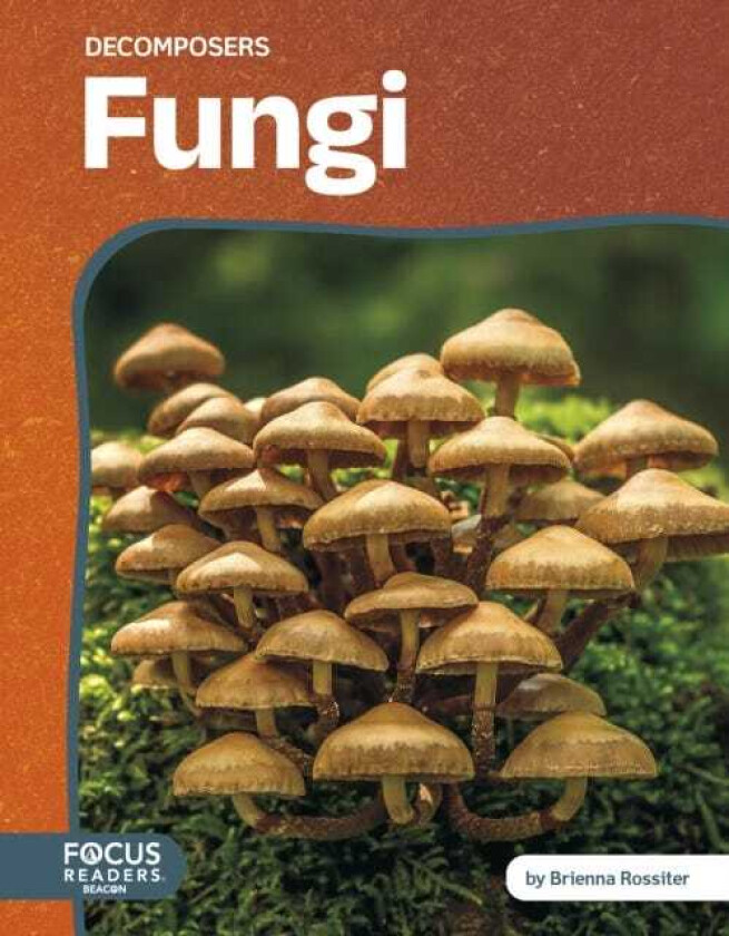 Decomposers: Fungi