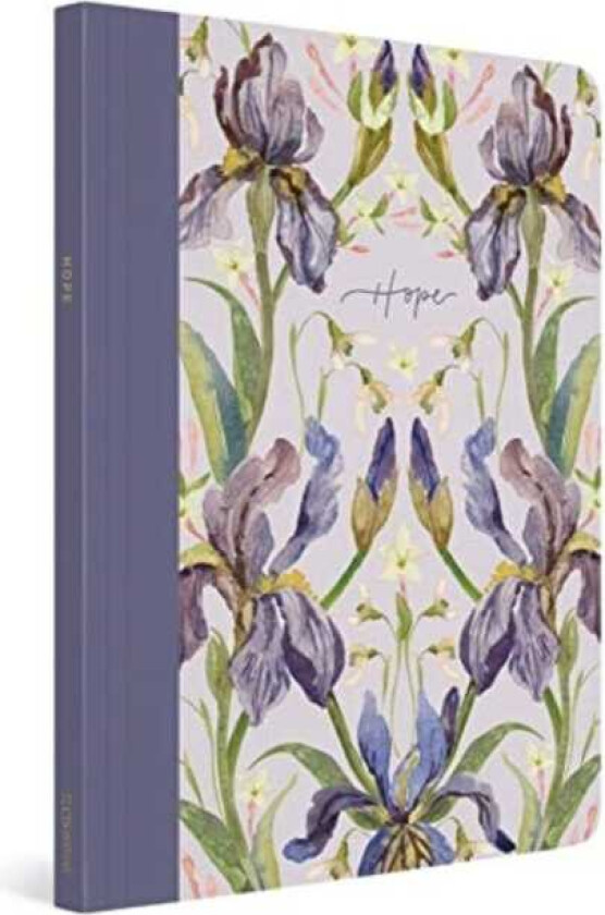 ESV Prayer Journal 30 Days on Hope (Paperback)