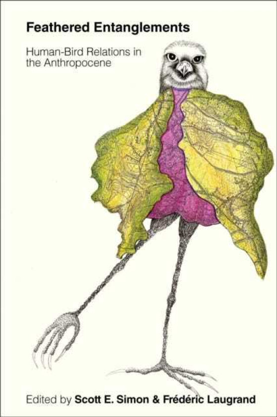 Feathered Entanglements HumanBird Relations in the Anthropocene