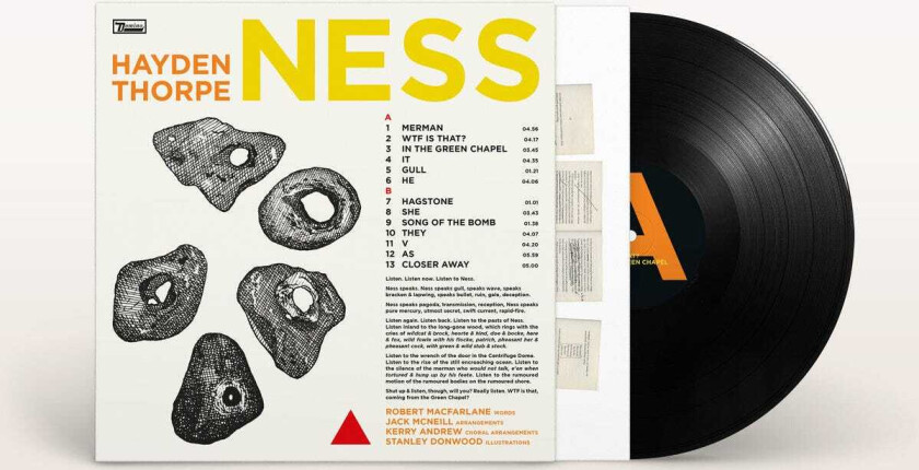 Hayden Thorpe Ness LP/Vinyl