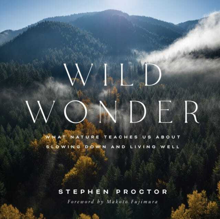 Wild Wonder  What Nature Teaches Us About Slowing Down and Living Well