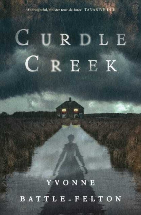 Curdle Creek From the Women's Prizelonglisted author of Remembered
