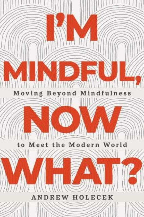 I'm Mindful, Now What? Moving Beyond Mindfulness to Meet the Modern World